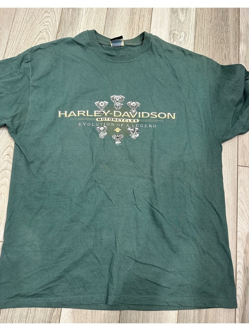 Harley-Davidson Mike's Famous New Castle DE Graphic T-Shirt XL Green